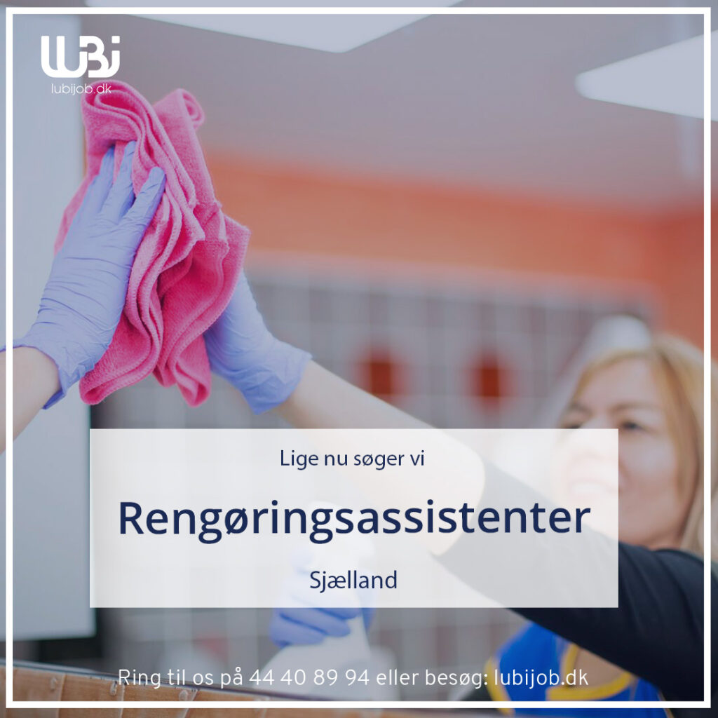 Rengøringsaasistenter.