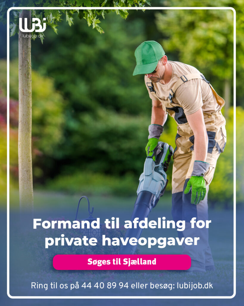formand.
