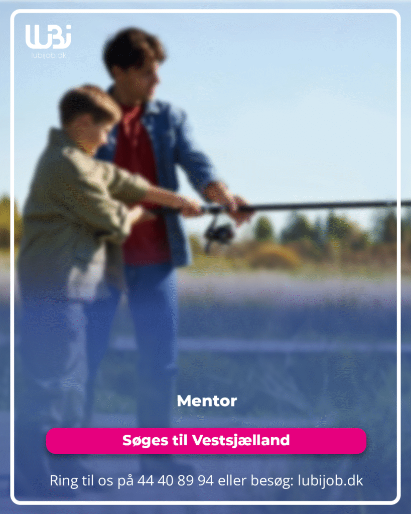 Mentor søges